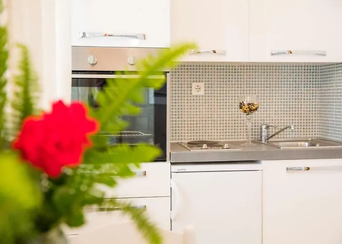 Appartement Vidak