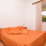 Vidak