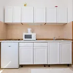 Vidak Apartamento *